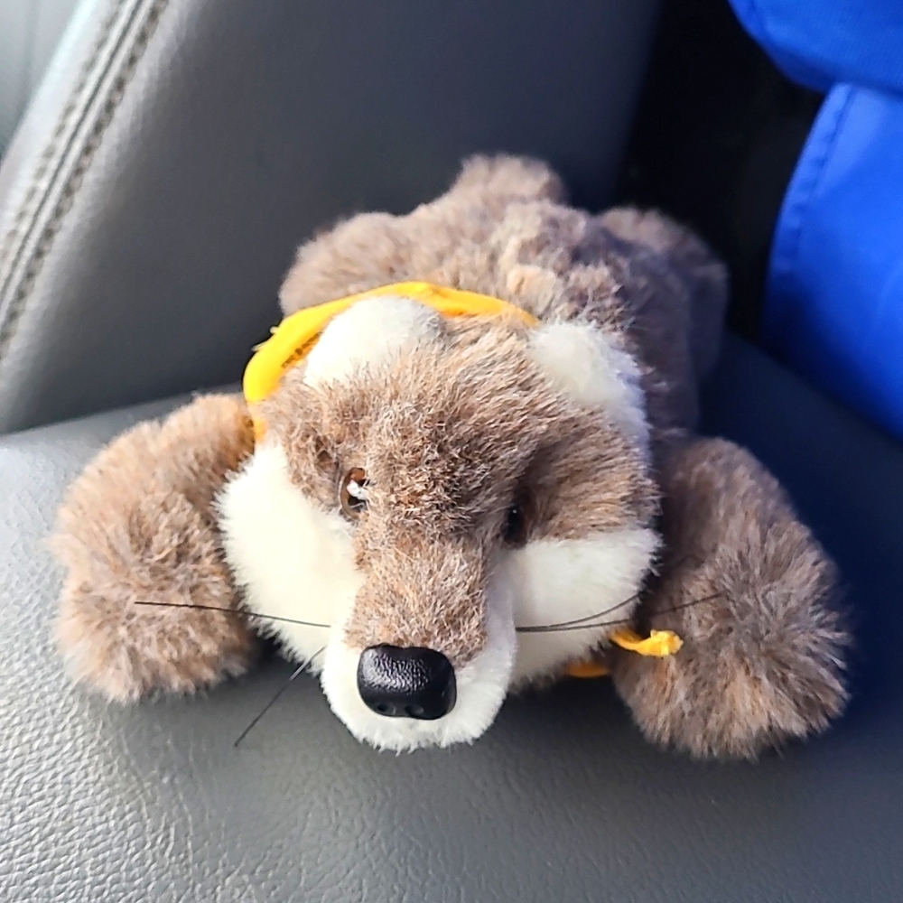 ASI AHL Chicago Wolves Wolf